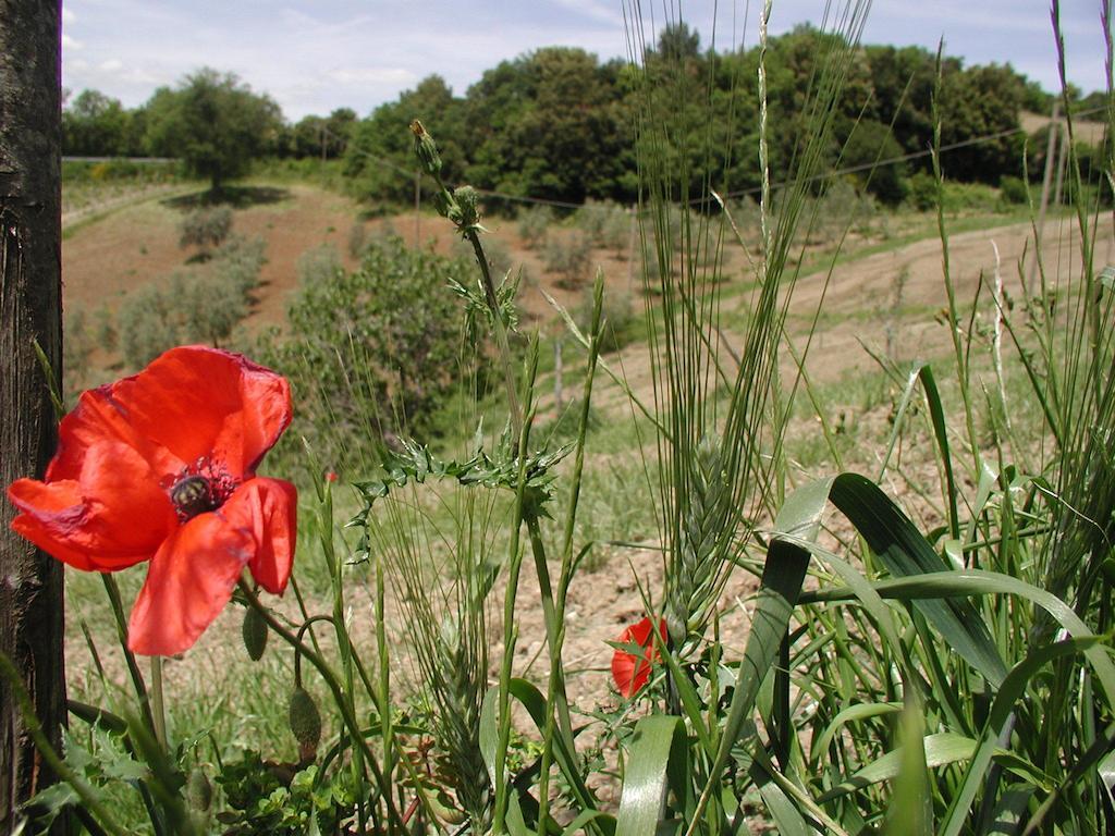 Vila Casa Guaitoli Bagni Di Petriolo Exteriér fotografie