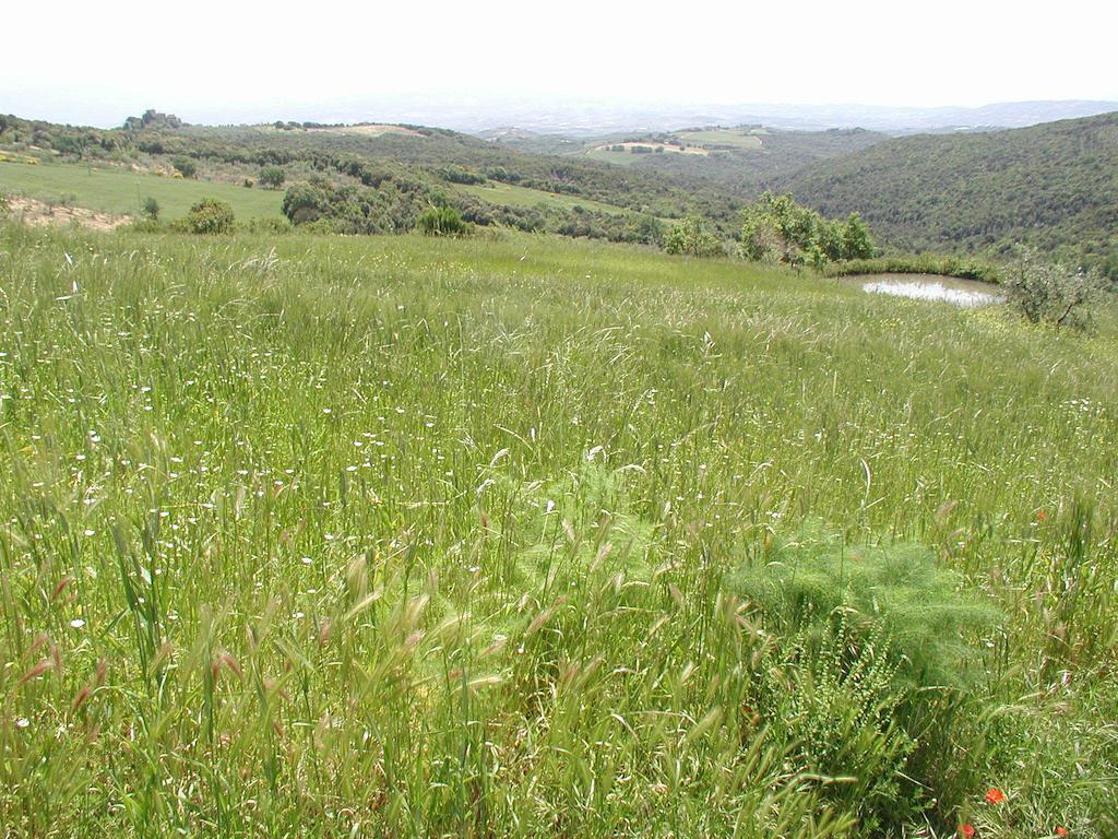 Vila Casa Guaitoli Bagni Di Petriolo Exteriér fotografie