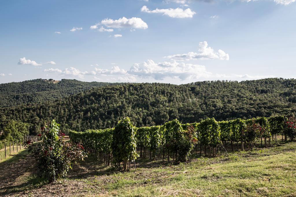 Vila Casa Guaitoli Bagni Di Petriolo Exteriér fotografie