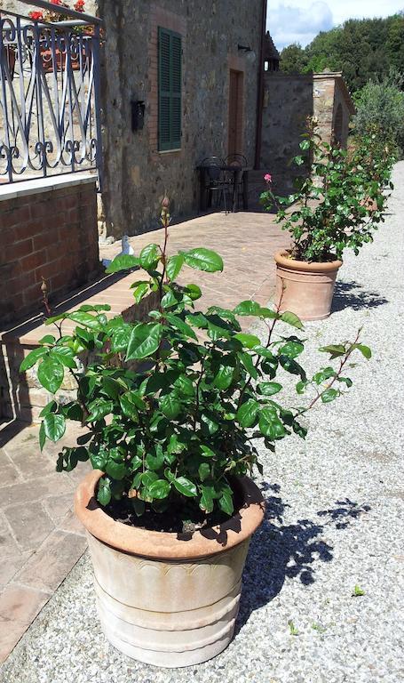 Vila Casa Guaitoli Bagni Di Petriolo Exteriér fotografie