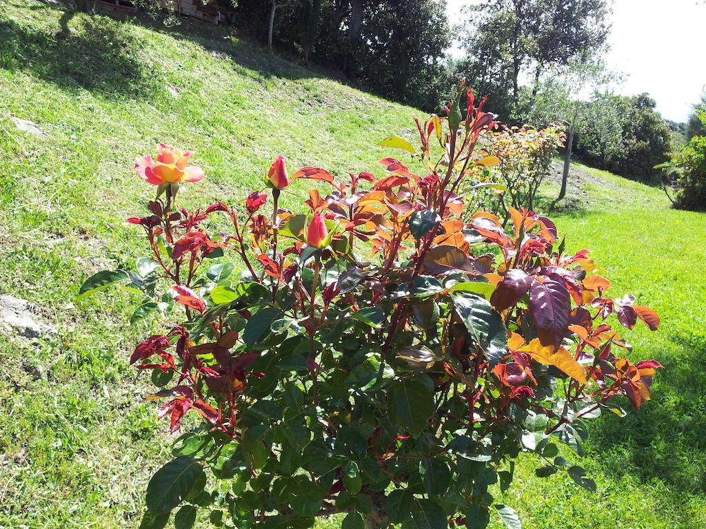 Vila Casa Guaitoli Bagni Di Petriolo Exteriér fotografie